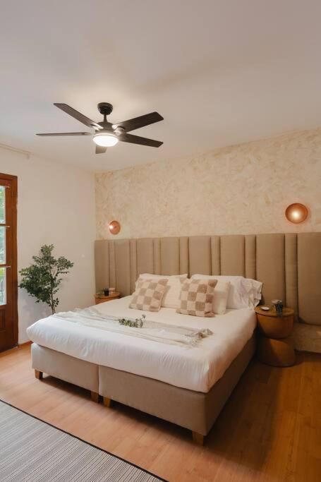 Designer House Luxury Style