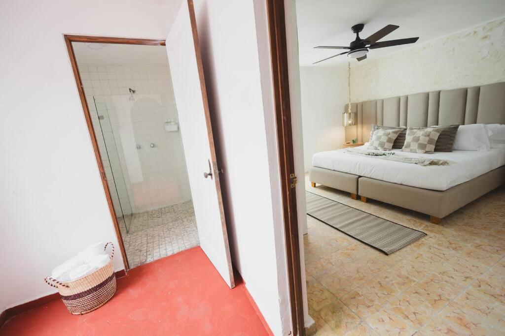 Designer House Luxury Style Apartment Mexico City
