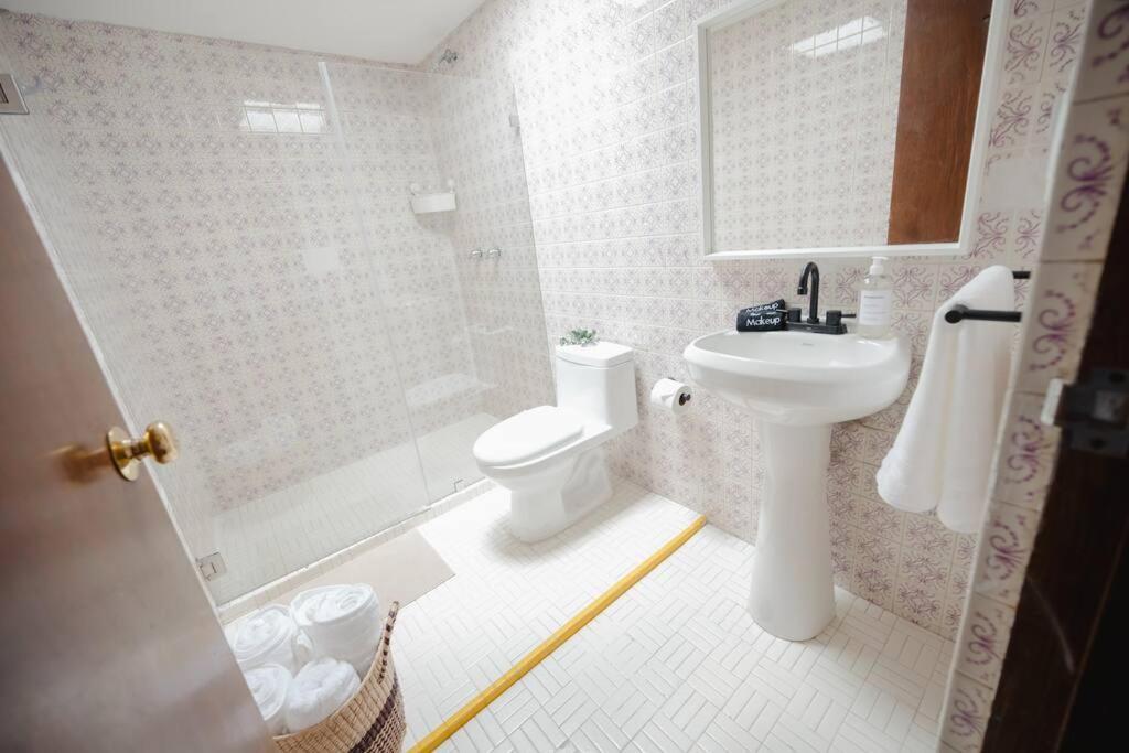 Apartment Designer House Luxury Style Mexico City