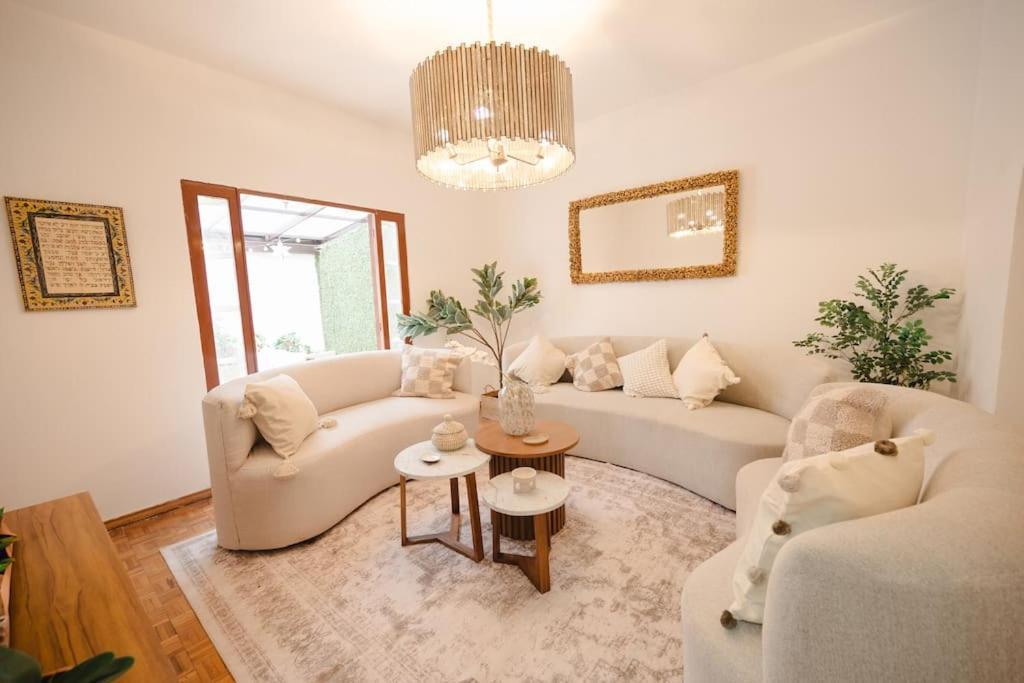 Designer House Luxury Style Apartment Mexico City